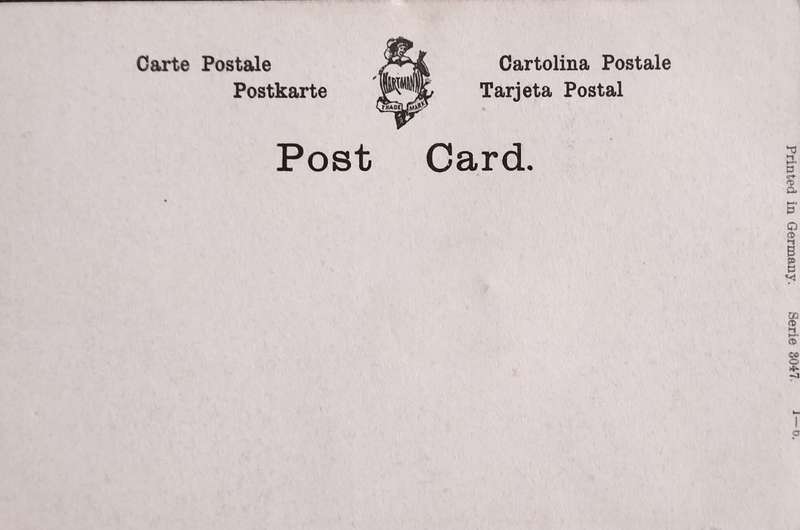 Unused post card - Elegant lady