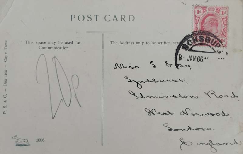 Vintage Picture post card - Devils Peak - Cape Town  (1906) - used