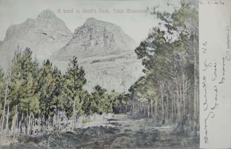 Vintage Picture post card - Devils Peak - Cape Town  (1906) - used