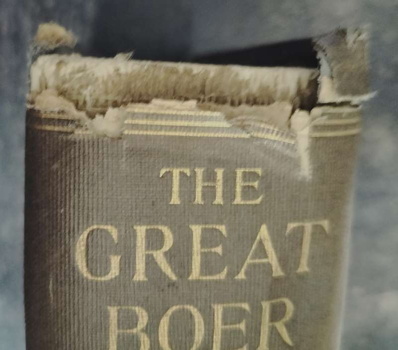 Three Year War - General de Wet (1902) - with issues
