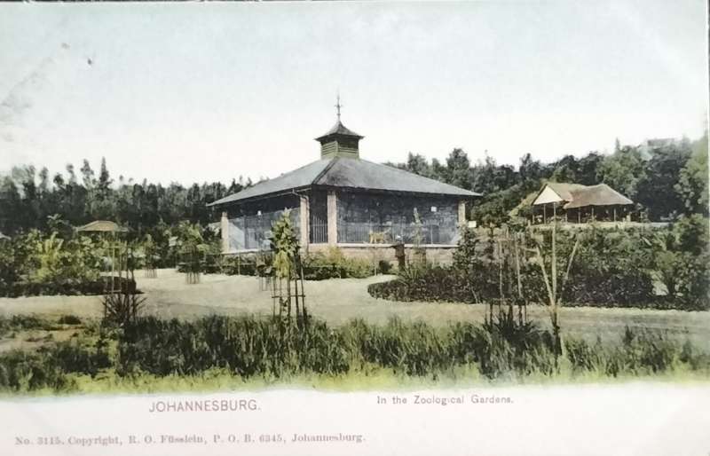 Antique Post card - Johannesburg - The zoological gardens