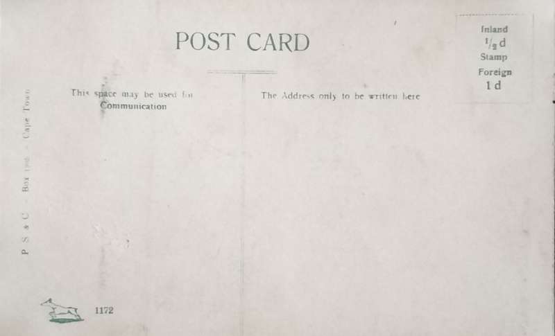 Antique Post card - Illovo