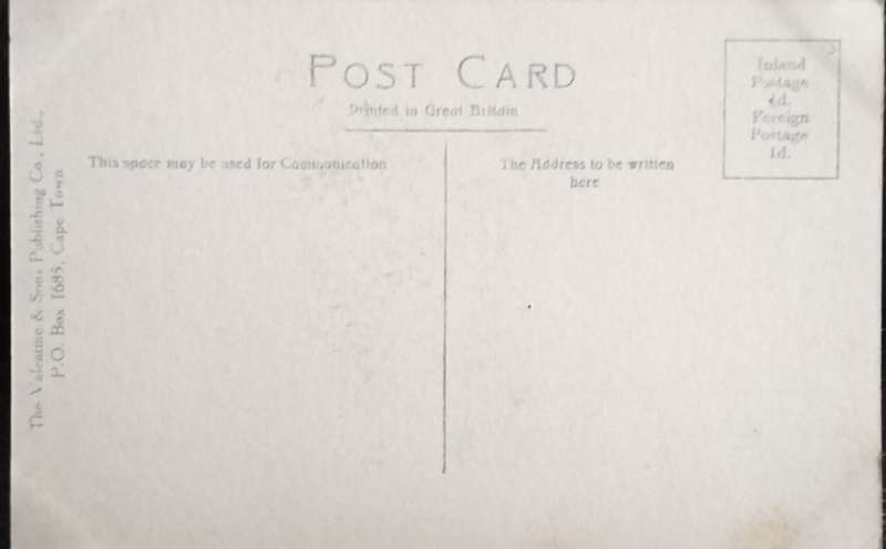 Antique Post card - Cape Town - Adderley Street