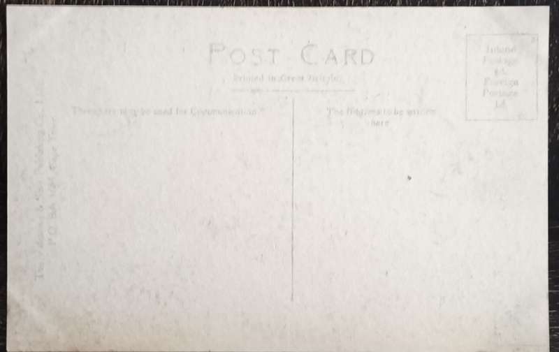 Antique Post card - Cape Town - Avenue Oranjezicht