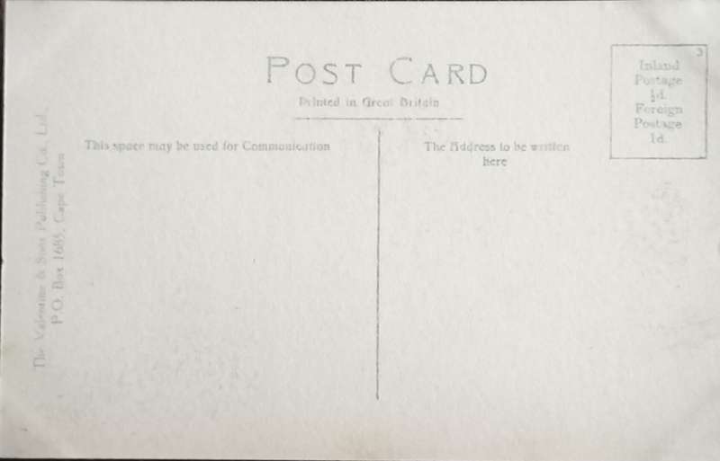 Antique Post card - Cape Town - Harbour