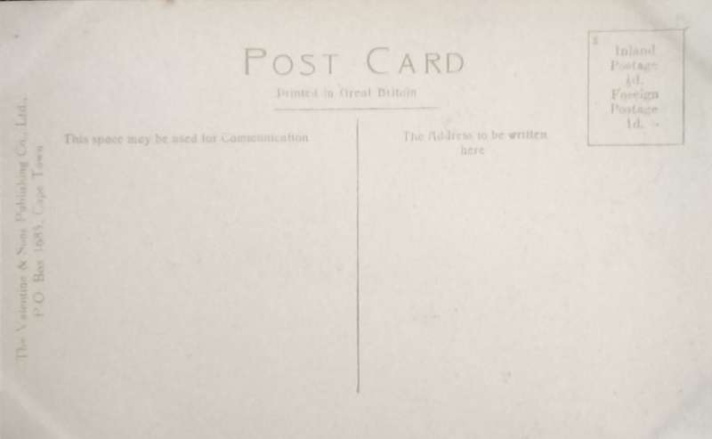 Antique Post card - Cape Town - Adderley Street looking west