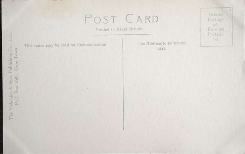 Antique Post card - Cape Town - Oranjezicht