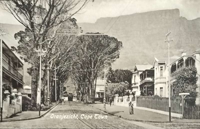 Antique Post card - Cape Town - Oranjezicht