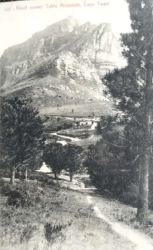 Antique Post Cards - South Africa - Kloof corner Table mountain - Cape Town