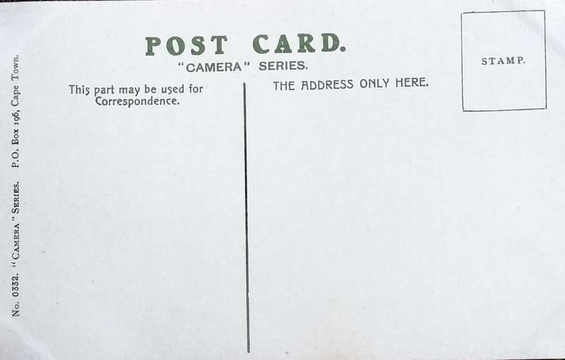 Antique Post Cards - South Africa - Lions Head silver leaf trees