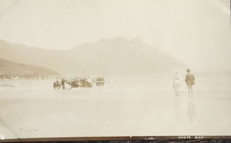 Antique Post Cards - South Africa - Hout Bay