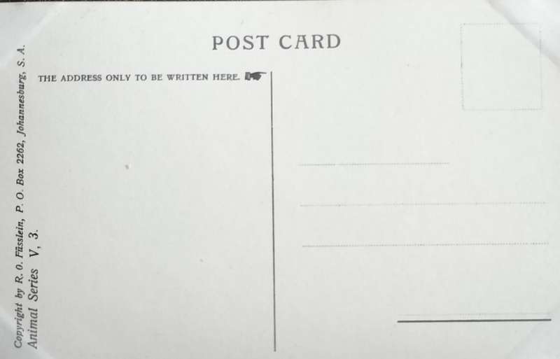 Antique Post Card art by Egersdorfer. Animal series V, 3 (with issue)