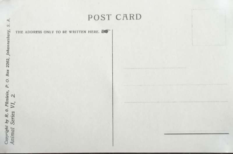 Antique Post Card art by Egersdorfer. Animal series VI, 2