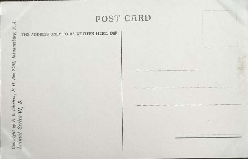 Antique Post Card art by Egersdorfer. Animal series VI, 5
