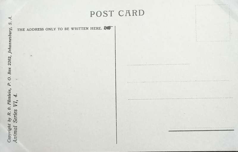 Antique Post Card art by Egersdorfer. Animal series VI, 4