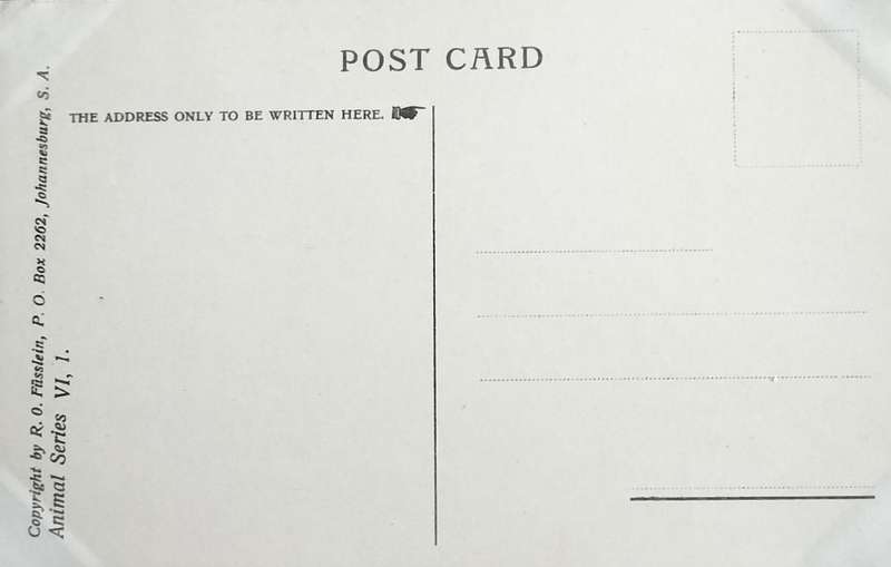 Antique Post Card art by Egersdorfer. Animal series VI, 1