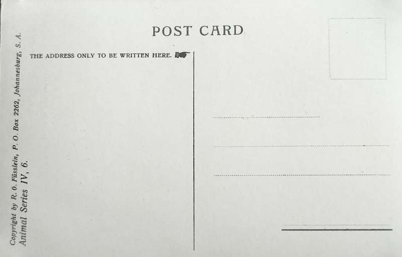 Antique Post Card art by Egersdorfer. Animal series IV, 6
