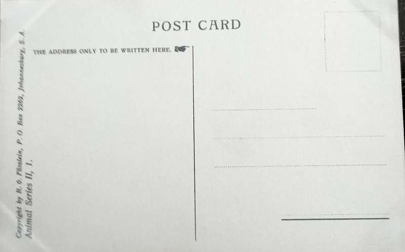 Antique Post Card art by Egersdorfer. Animal series II, 1
