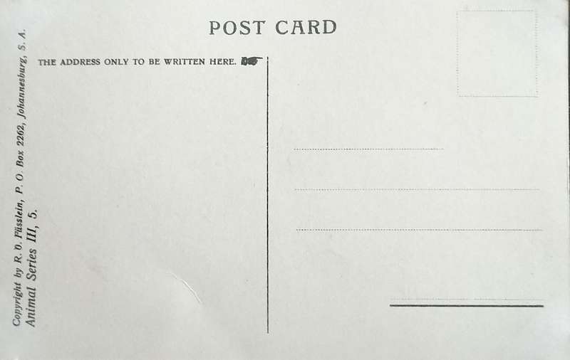 Antique Post Card art by Egersdorfer. Animal series III, 5