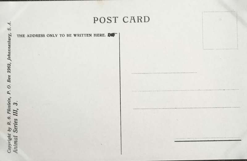 Antique Post Card art by Egersdorfer. Animal series III, 3
