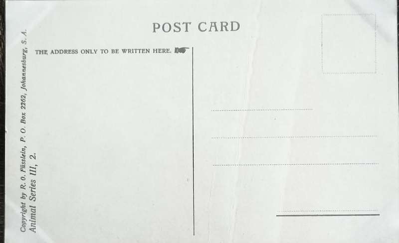 Antique Post Card art by Egersdorfer. Animal series III, 2
