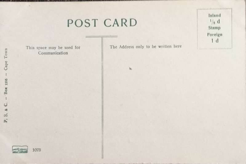 Antique Post Cards - South Africa - Pietermaritzburg West Street
