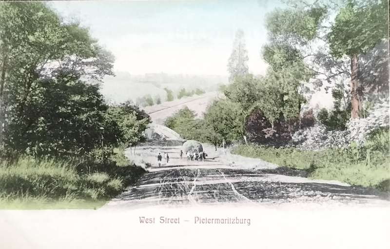 Antique Post Cards - South Africa - Pietermaritzburg West Street