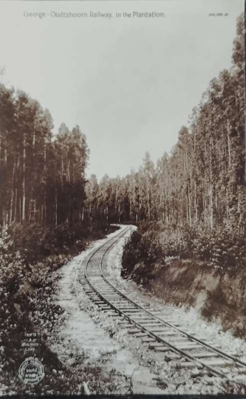 Vintage Post card - South Africa - George Oudtshoorn railway line