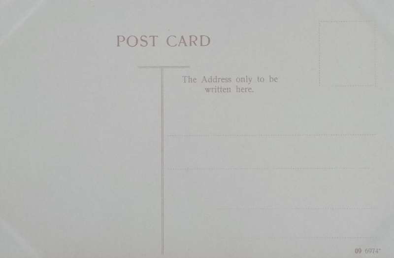 Vintage Post card - South African Ox