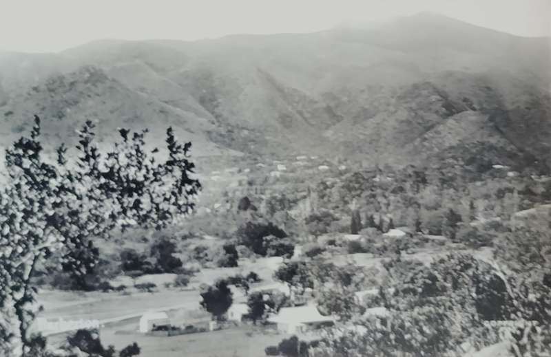 Vintage Post card - South Africa - Barberton