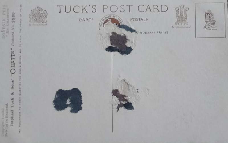 Vintage Tuck's Post card - Dog