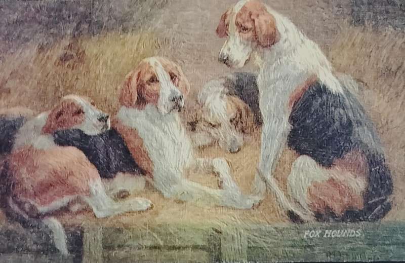 Vintage Tuck's Post card - Dogs (Fox hounds)