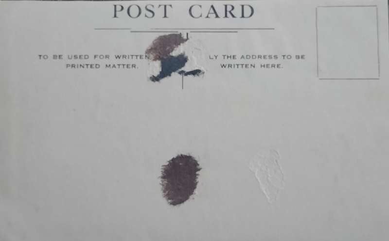 Vintage Post card - Dog