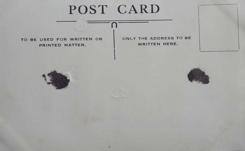 Vintage Post card - Dogs