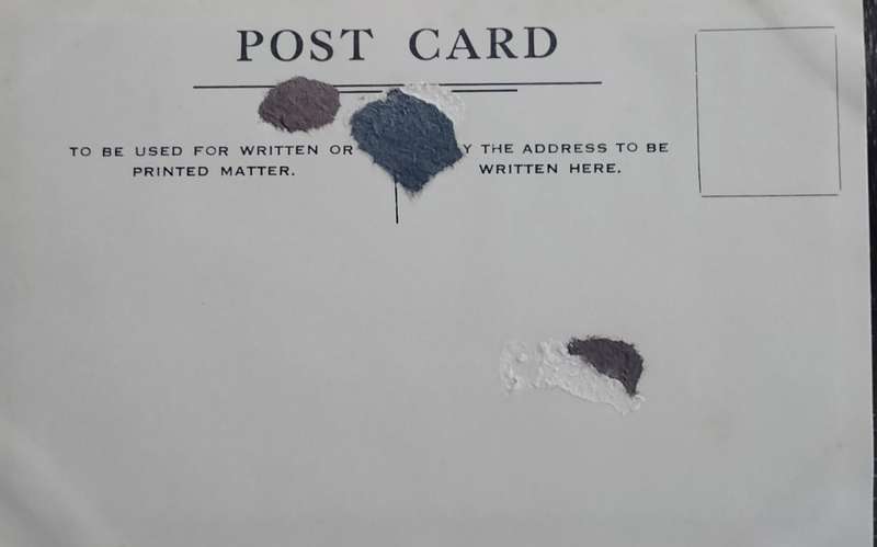 Vintage Post card - Dog