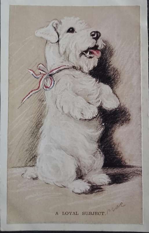 Vintage Post card - Dog