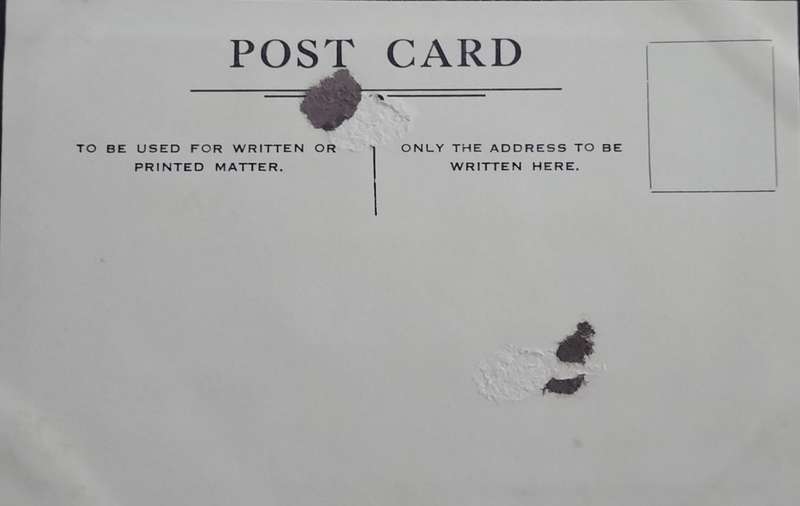 Vintage Post card - Dog