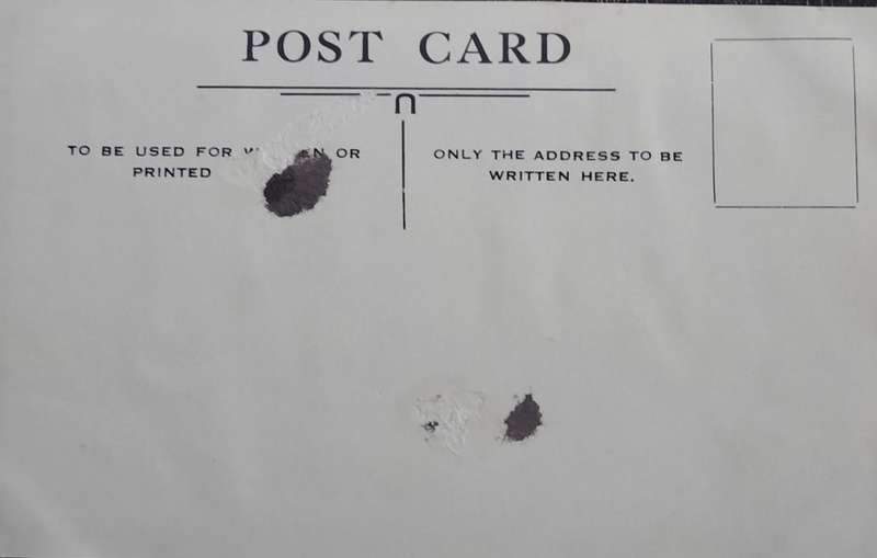 Vintage Post card - Dog (Scottish Terrier)