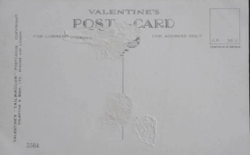 Vintage Post card - Dogs