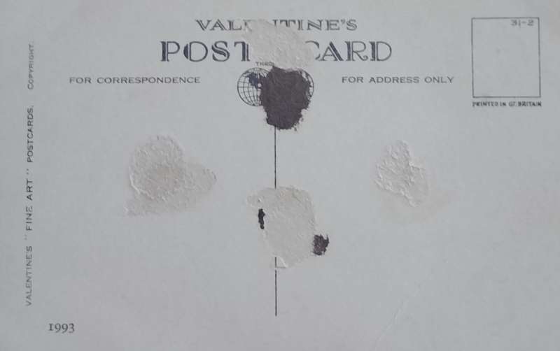 Vintage Post card - Dogs
