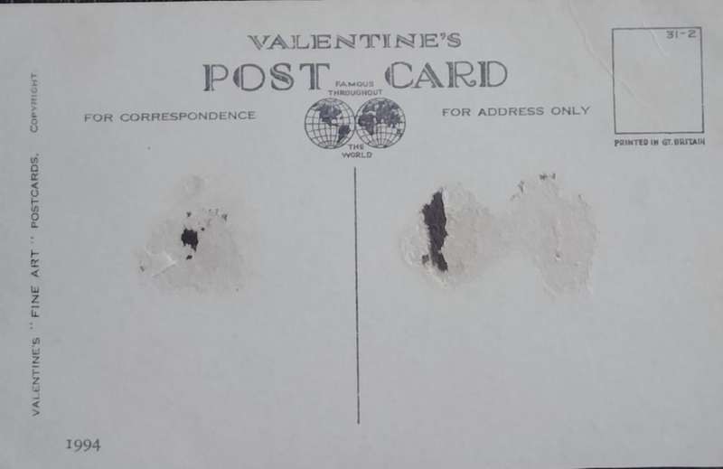 Vintage Post card - Dog