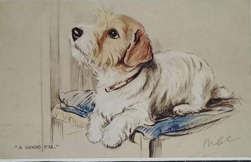 Vintage Post card - Dog