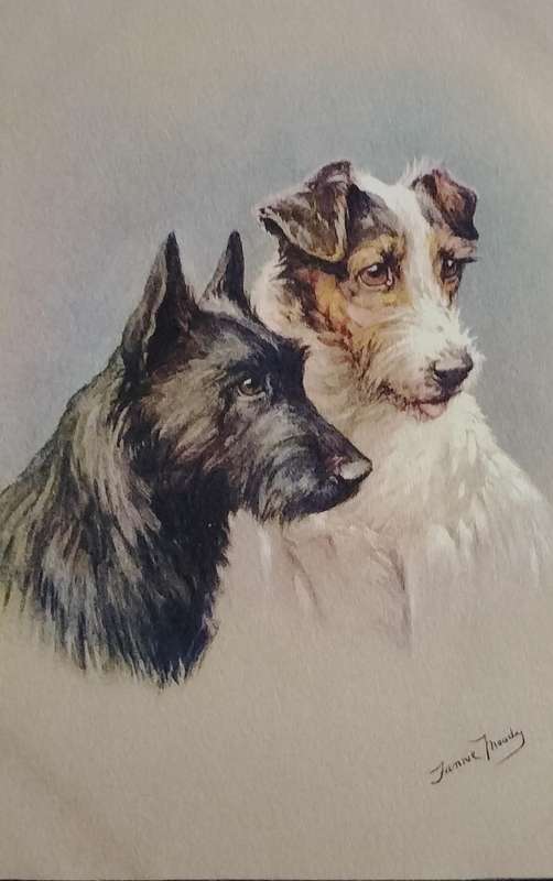Vintage Post card - Dogs