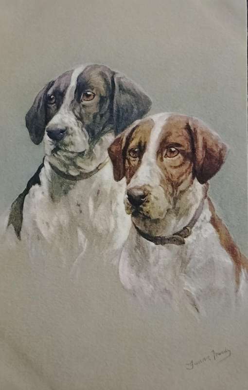Vintage Post card - Dogs