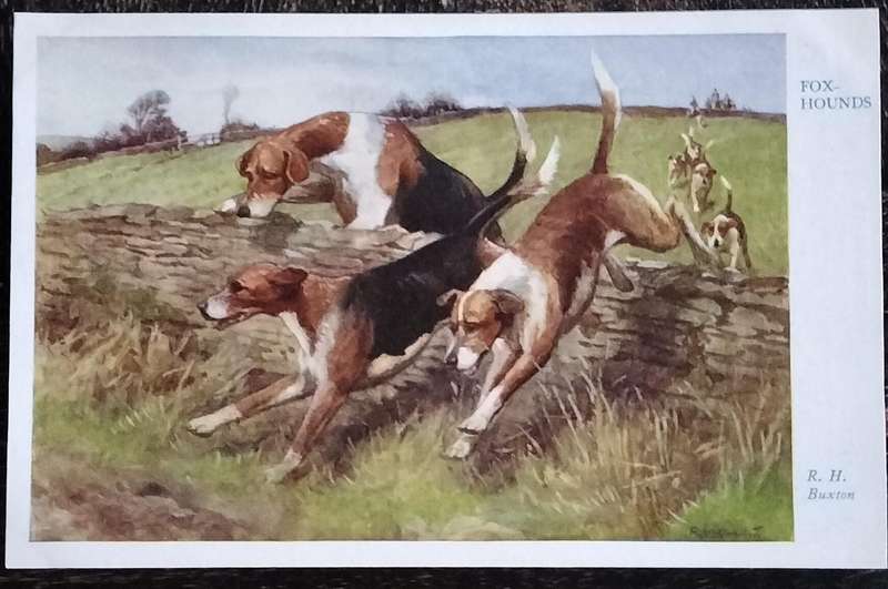 Vintage Post Card - Dogs