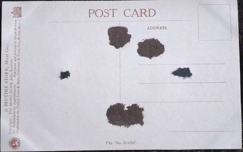 Vintage Post Card - Dogs
