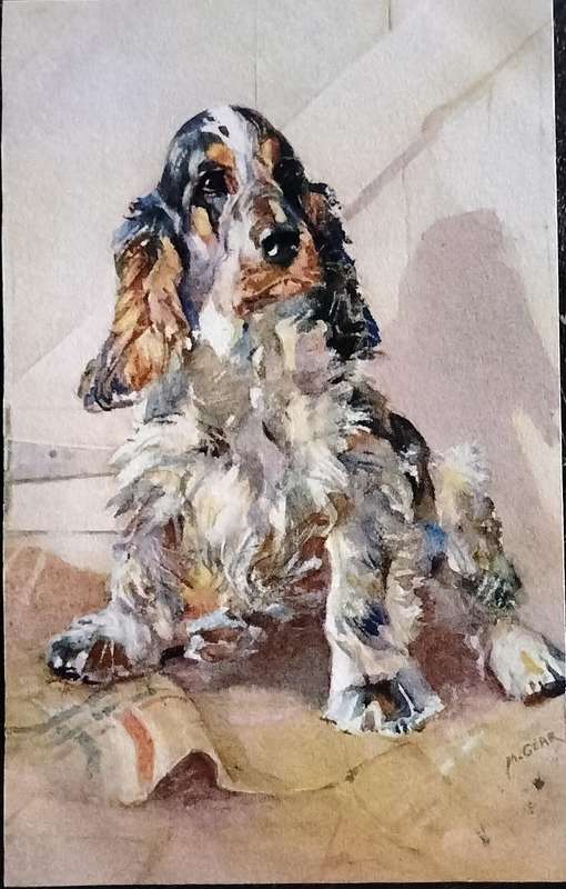 Vintage Post Card - Dogs