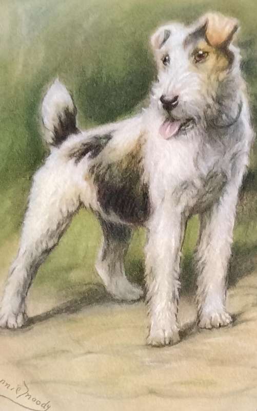 Vintage Post Card - Dogs