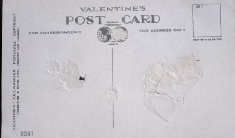 Vintage Post Card - Dogs