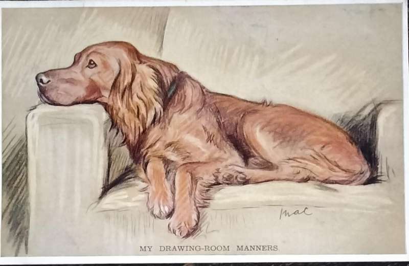 Vintage Post Card - Dogs